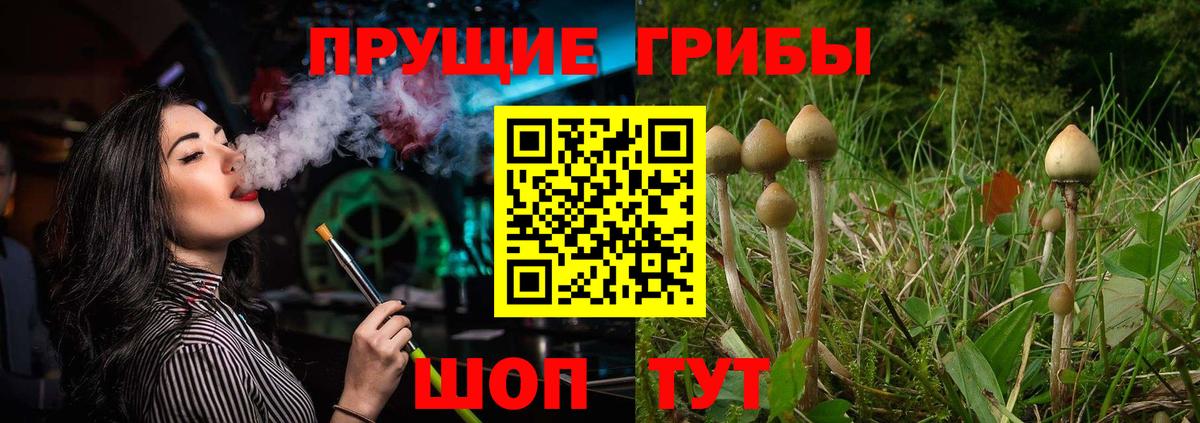 Псилоцибиновые грибы MAGIC MUSHROOMS  Вход с VPN  Псилоцибиновые грибы Magic Shrooms  Лабытнанги 